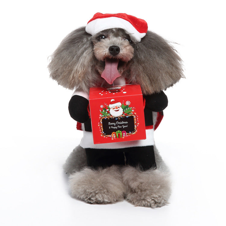 Funny Standing Pet Clothes