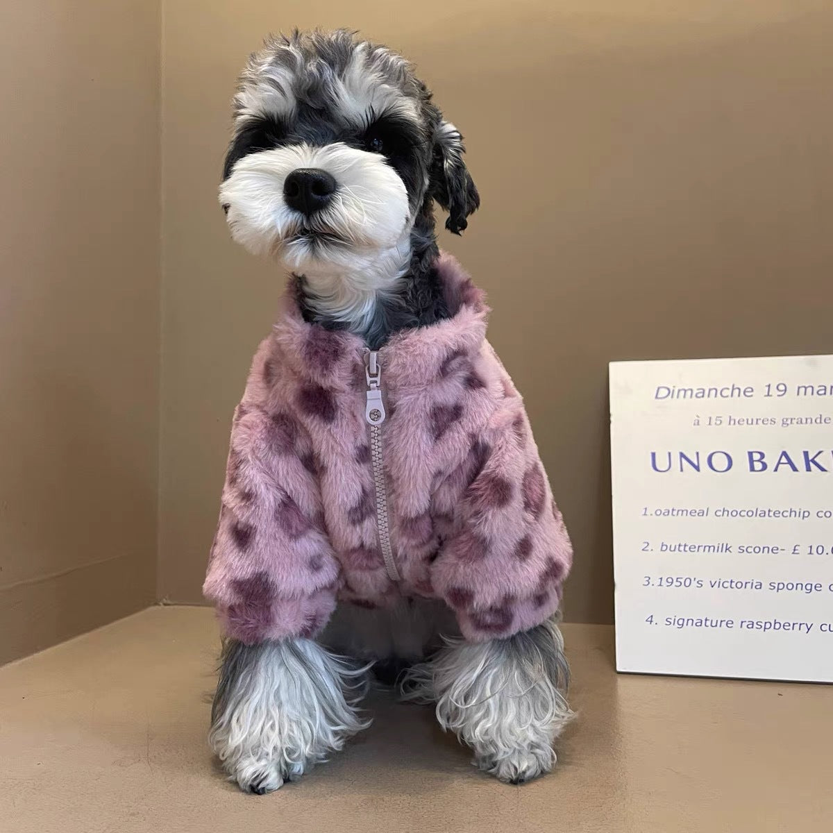 Pink leopard print coat for Puppy Cat