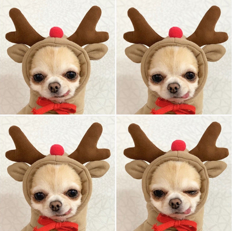 Hoody Pet Clothes Fruit & Animal Shape