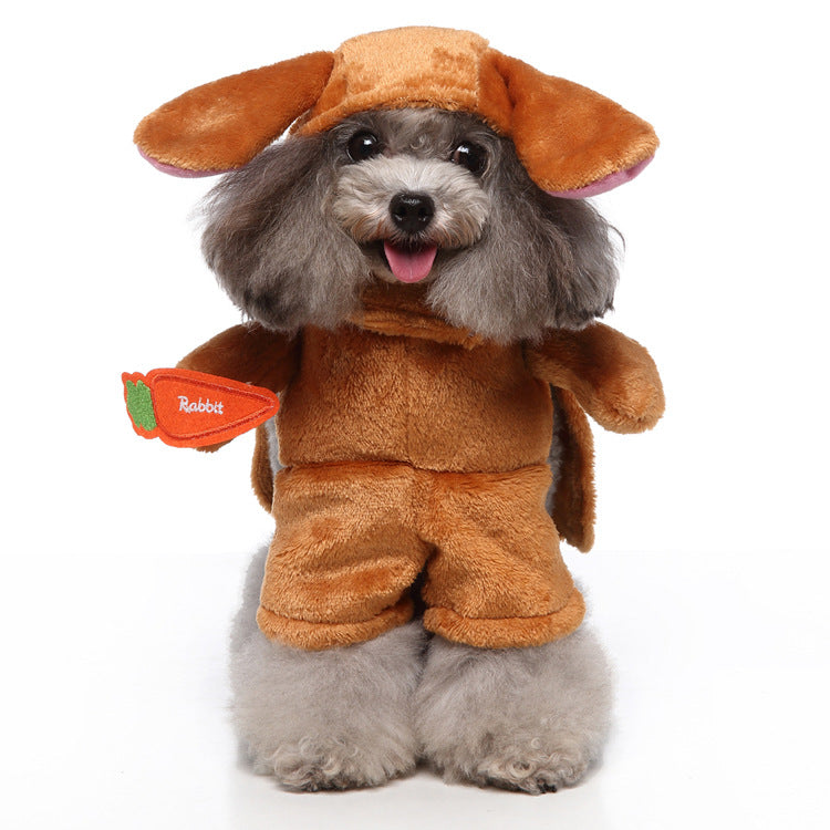 Funny Standing Pet Clothes
