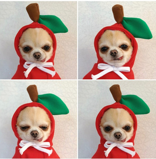 Hoody Pet Clothes Fruit & Animal Shape