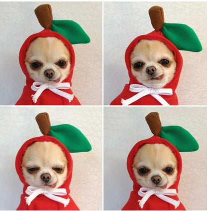Hoody Pet Clothes Fruit & Animal Shape