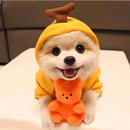 Hoody Pet Clothes Fruit & Animal Shape