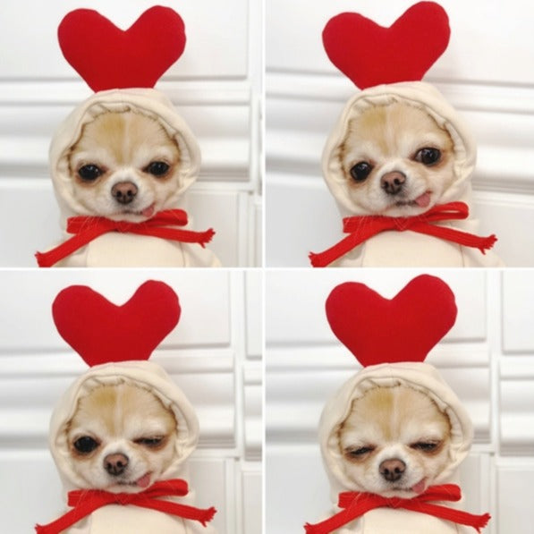 Hoody Pet Clothes Fruit & Animal Shape